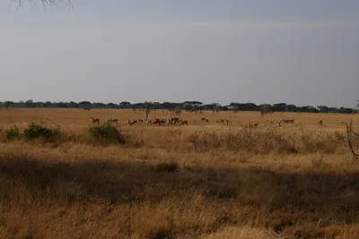 DSC_3395 (Large).JPG